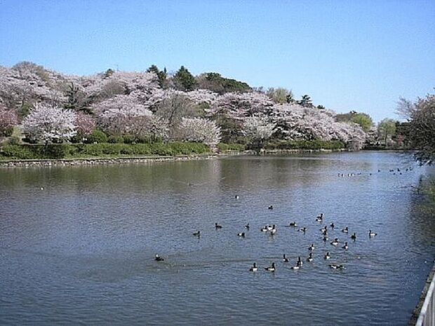 三ツ池公園まで748m