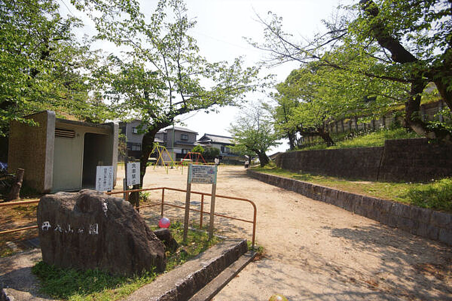 【レジャー】丹八山公園