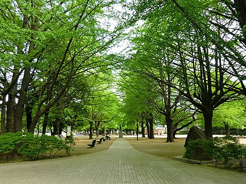 【レジャー】板橋区平和公園