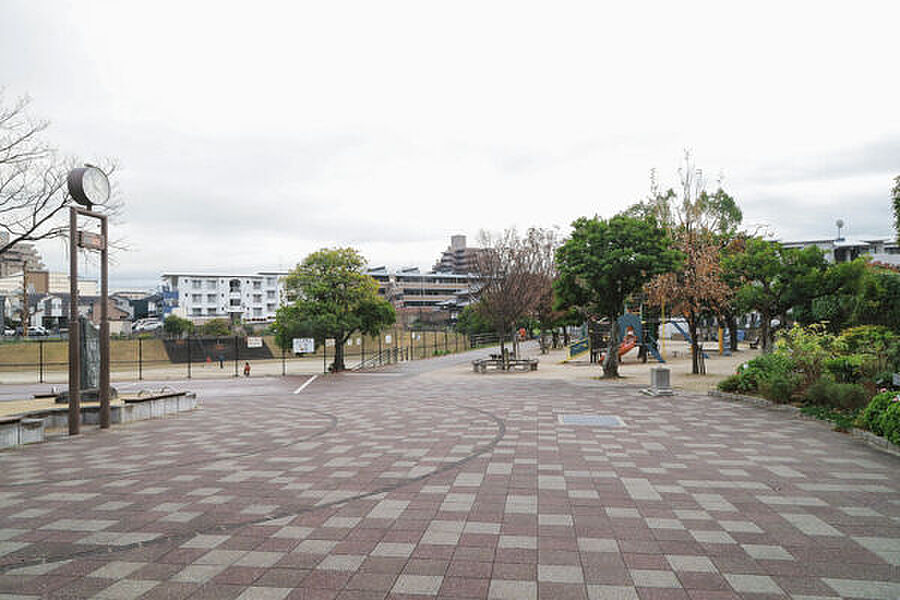 【レジャー】野間大池公園