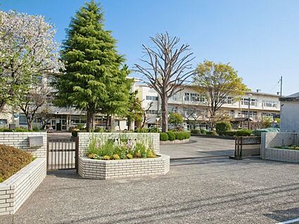 相模原市立谷口台小学校 504m