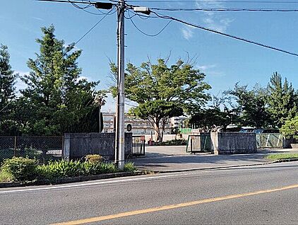 柏市立松葉第一小学校 325m