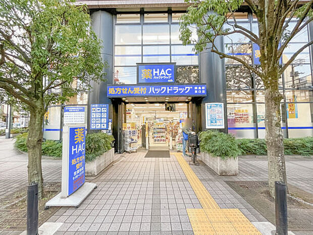 ハックドラッグ綱島駅東口店(約1,219m)