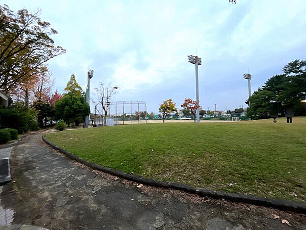 青山公園(約29m)