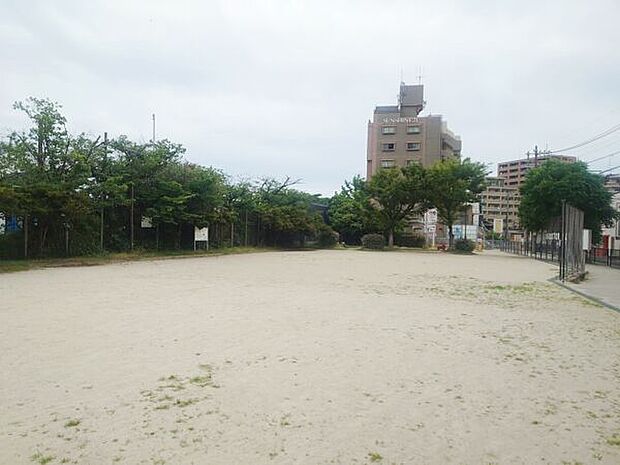 和白公園(約525m)