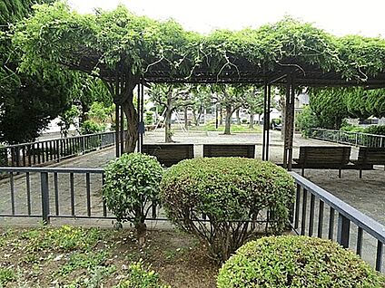 しいの木公園 445m