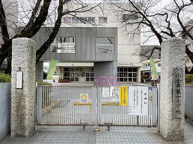 小金井市立小金井第一小学校(約518m)
