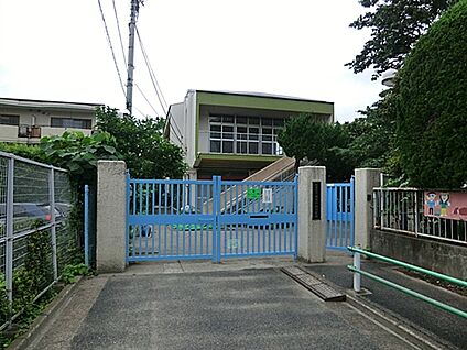 高井戸西幼稚園 485m