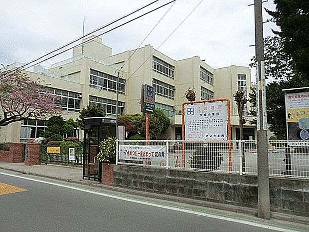 さいたま市立大成小学校(約705m)