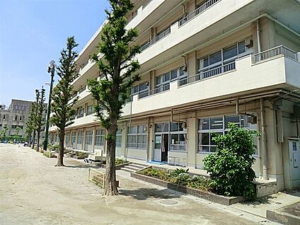 市川市立大洲小学校 528m