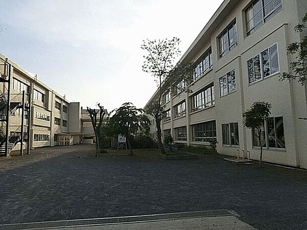 茅ヶ崎市立浜須賀小学校（約787m）