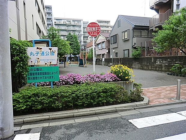 丸子通公園(約443m)