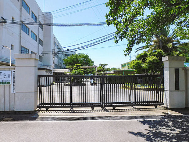 高槻市立真上小学校(約319m)