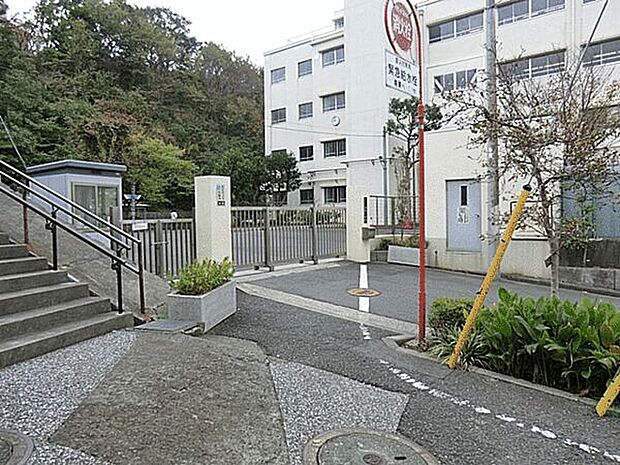 横浜市立西柴小学校(約359m)