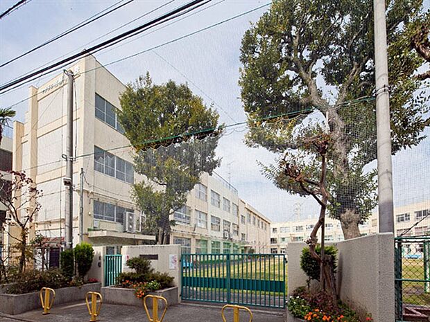 中野区立北原小学校(約52m)