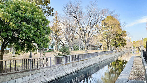 仙台堀川公園(約464m)