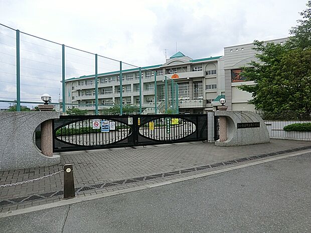 さいたま市立向小学校(約788m)