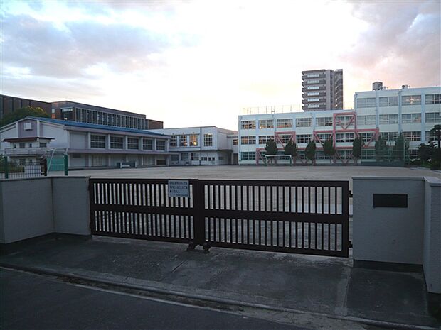 名古屋市立矢田小学校(約564m)