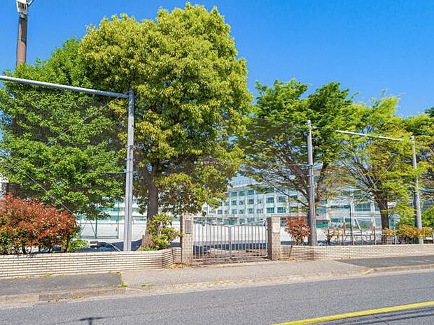 江戸川区立松江第四中学校(約703m)