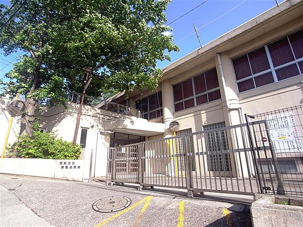 横浜市立菊名小学校（約493m）