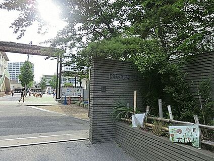 市川市立新井小学校 615m