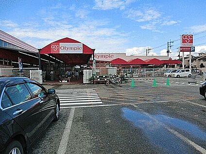 オリンピック柏花野井店 1116m