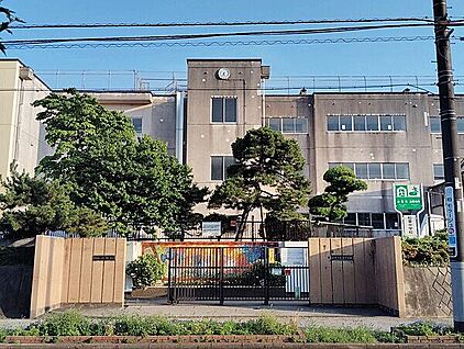 柏市立松葉中学校 731m