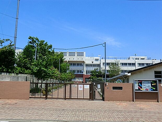 川崎市立古市場小学校(約513m)