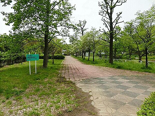 恩廻公園（約180m）