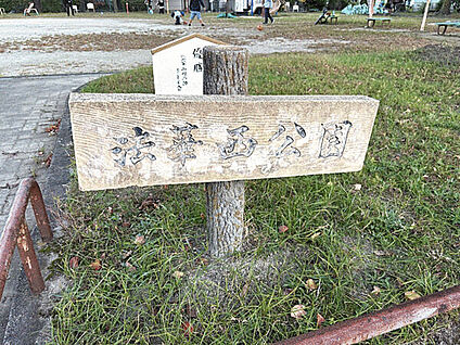 法華西公園 558m