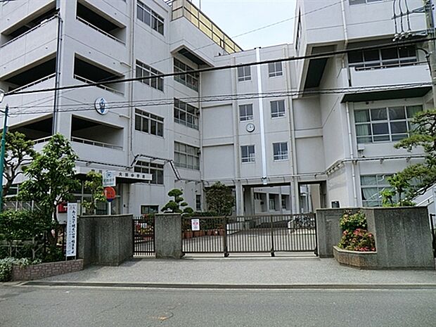 市川市立大洲中学校（約515m）