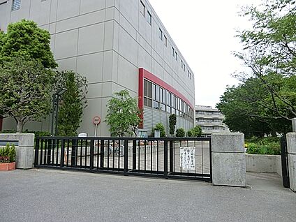 川口市立戸塚綾瀬小学校 552m