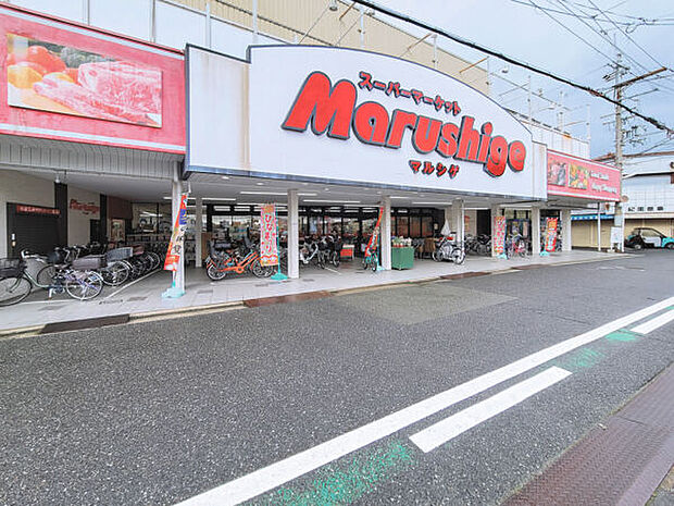 マルシゲ鳳店(約810m)