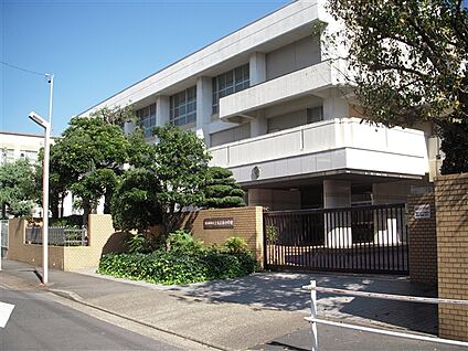 名古屋市立上名古屋小学校 242m