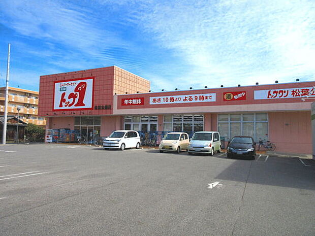 トップワン松葉公園店(約720m)