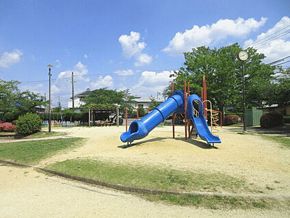 富が丘公園 583m