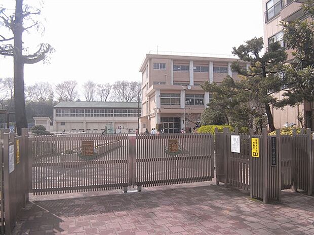 横浜市立三ツ沢小学校(約876m)