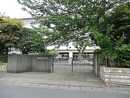 鎌倉市立七里ガ浜小学校 499m