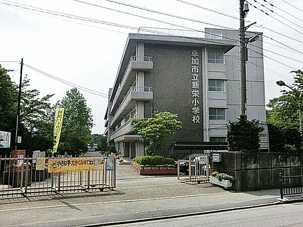 草加市立新栄小学校（約315m）