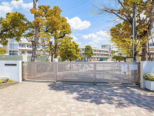 市川市立真間小学校(約497m)