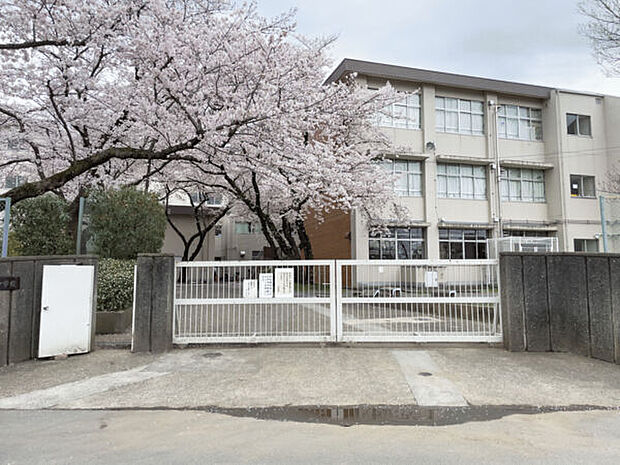 国立市立国立第三中学校(約1,340m)