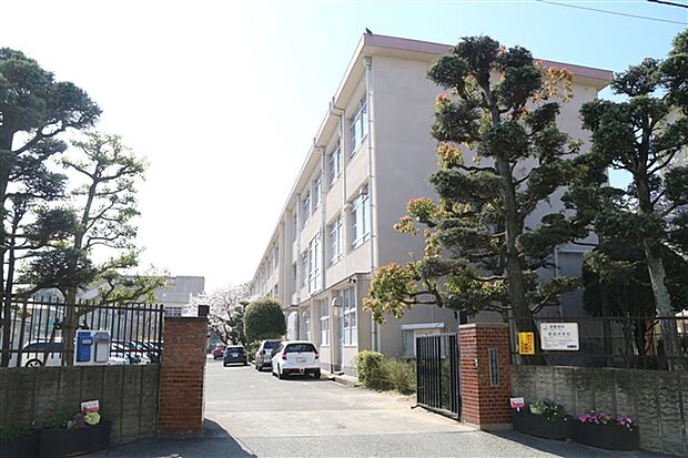 福岡市立警固中学校(約907m)