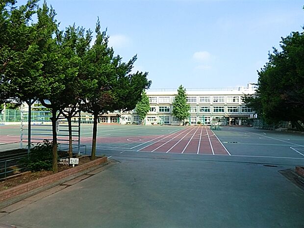 北区立滝野川第五小学校(約12m)