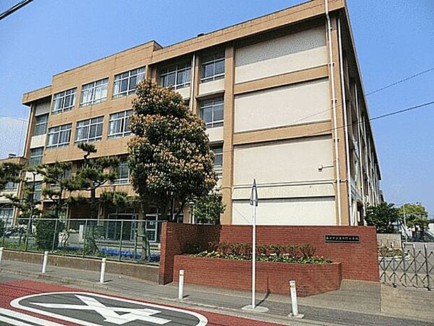 藤沢市立亀井野小学校(約1,093m)