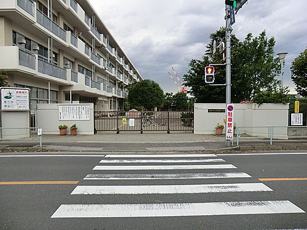 朝霞市立朝霞第七小学校(約721m)