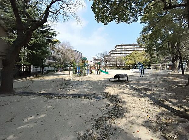 長洲公園(約808m)