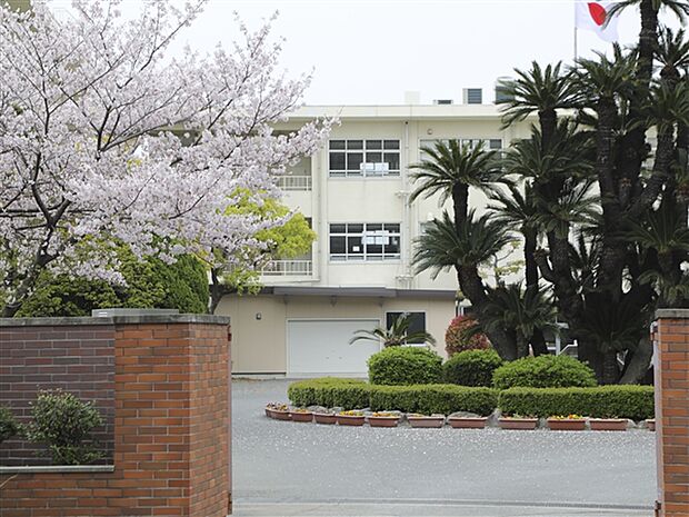 福岡市立箱崎中学校(約2,065m)