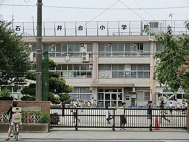 練馬区立石神井台小学校(約504m)