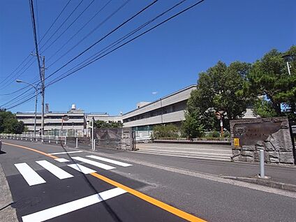 横浜市立三ツ沢小学校 890m