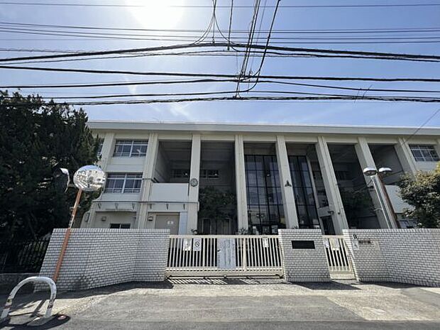 川崎市立新城小学校（約312m）